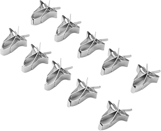 10 Pcs Bird Cage Seed Feeder Parrot Fruit Vegtable Clips, Stainless Steel Parrot Vegetables Feeder Clips for Bird Hamster Cockatiel Parro