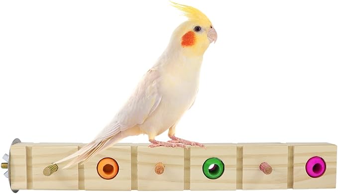 Parrot Bird Wood Perch Platform Corner Stand Shelf for Birds Budgie Parakeet Cockatiel Conure Cockatoo Macaw（F）