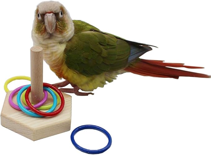 QBLEEV Bird Toys - Budgie & Parrot Training Toys, Color Ring Sets, Chew Ball & Play Gym