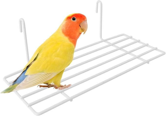 Iron Frame Bird Cage Perch Shelf with Hanging Hooks – Sturdy Wire Platform for Perching, Climbing & Resting – for Small to Medium Parrots, Cockatiels, Finches