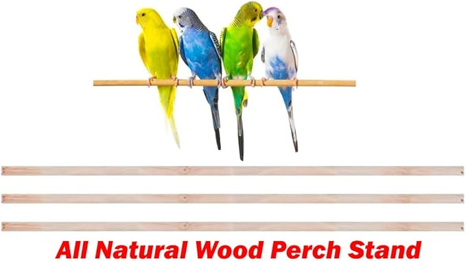Large Open/Close Play Perch Stand Top Side Nesting Box Doors Canary Parakeet Cockatiel Lovebird Finch Roof Top Bird Cage with Removable Rolling Stand