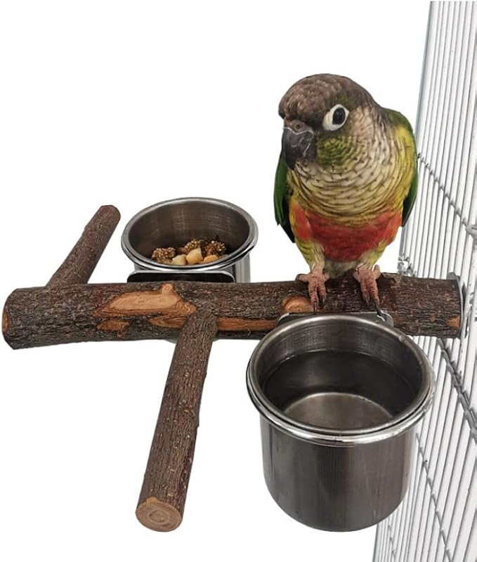 Stainless Steel Bird Feeding Bowl with Wooden Perch for Parakeets, Budgies, Lovebirds and Parrots