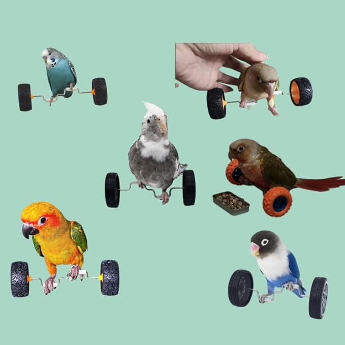 Bird Training Toys Set, 2 Piece Skateboard and Balance Bike for Parrots, Balance Training Accessories