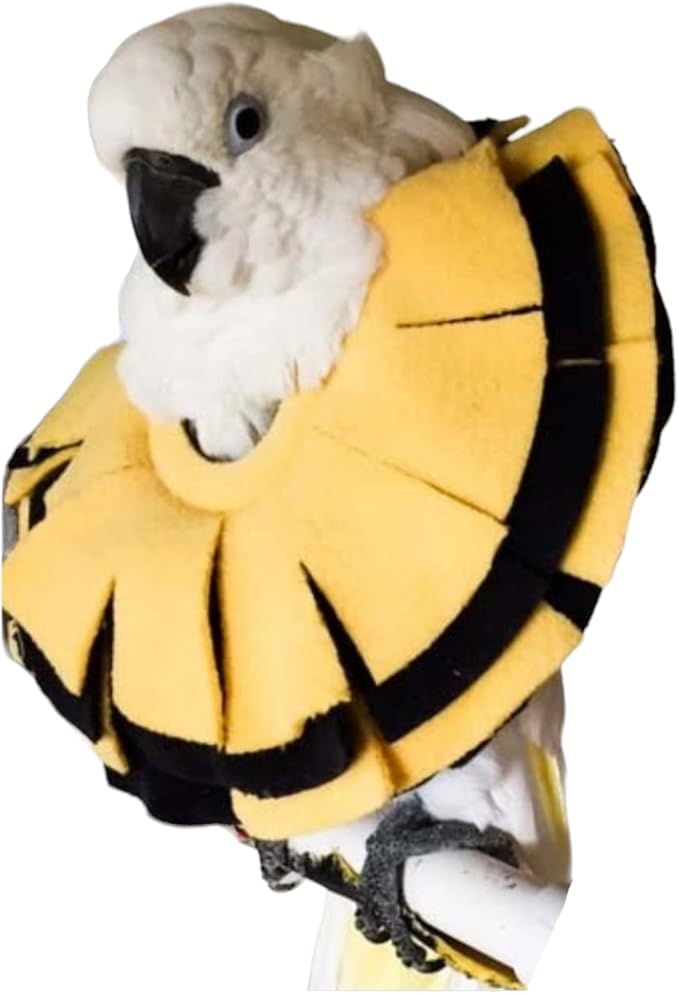Stiff Insert Cone Bird Collar for Umbrella Cockatoo & Yellow-Crested Cockatoo Parrot