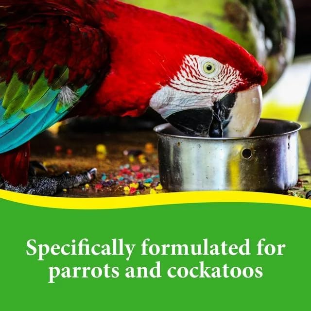 3-D Pet Products Premium Parrot Bird Food Seeds, with Probiotics, Excellent for Parrots, Cockatoos and Macaws 8 lb. Bag