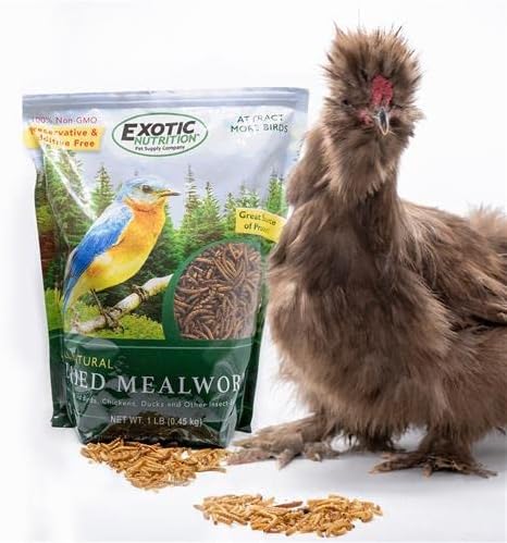 Dried Mealworms - 100% Natural, Non-GMO, High Protein, Bulk Insect Treat for Chicken, Laying Hen, Chick, Wild Bird, Bluebird, Duck, Goose, Turkey, Chickadee, Titmice, Wren, Reptile, Fish (44 lb.)