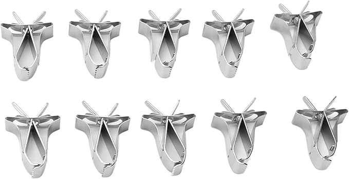 10 Pcs Bird Cage Seed Feeder Parrot Fruit Vegtable Clips, Stainless Steel Parrot Vegetables Feeder Clips for Bird Hamster Cockatiel Parro