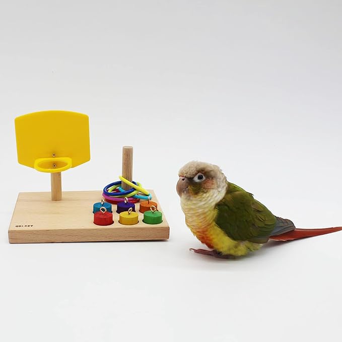 QBLEEV Bird Toys - Budgie & Parrot Training Toys, Color Ring Sets, Chew Ball & Play Gym