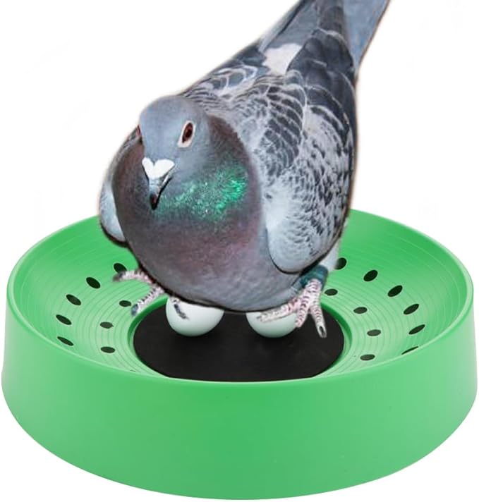 DQITJ 10 Pack Plastic Small Bird Nests Pigeon Nesting Bowls Quails Breeding Hatching Nest Canary Nest for Home Farm