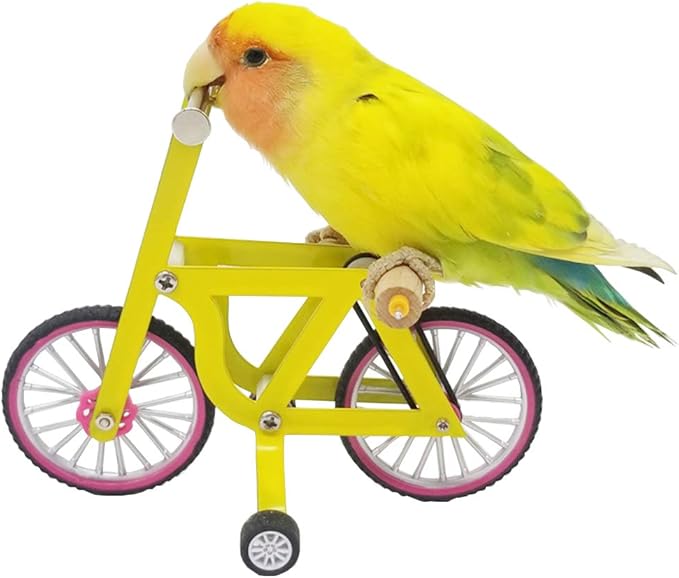 QBLEEV Bird Intelligence Training Toy for Small Medium Birds - Parrot Puzzle Bicycle & Table Top Trick Prop - Foot Talon Toy for African Grey, Cockatoo & Conures