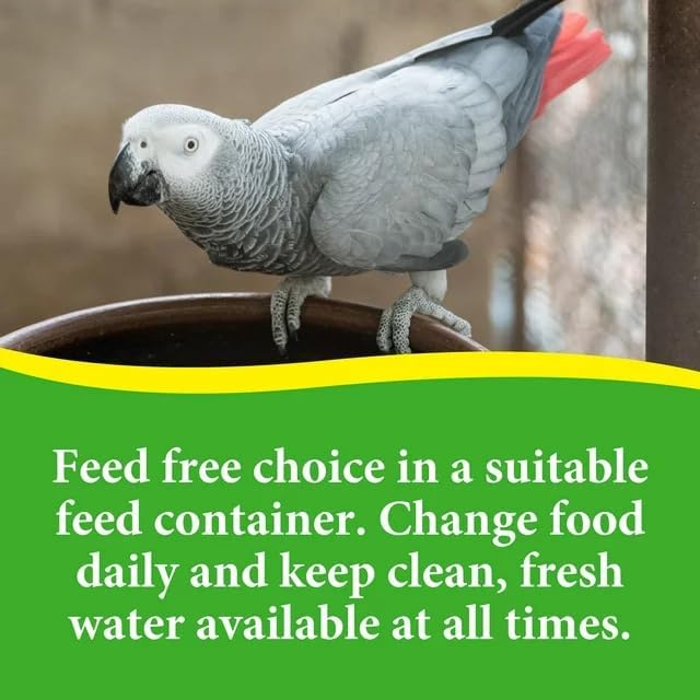 3-D Pet Products Premium Parrot Bird Food Seeds, with Probiotics, Excellent for Parrots, Cockatoos and Macaws 8 lb. Bag
