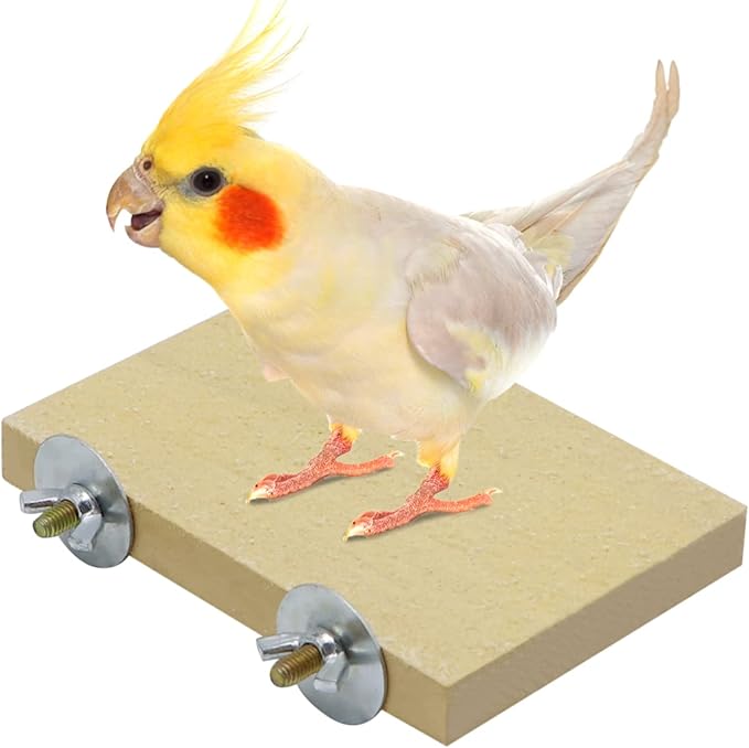 Bird Parrot Perch Stand Platform Natural Wooden Coarse Sand Grinding Claw Stand Suitable for Parrot Parakeet Cockatiel Budgie Conures Lovebird Finch