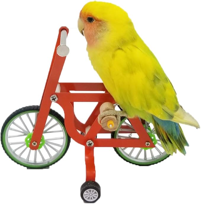 QBLEEV Bird Intelligence Training Toy for Small Medium Birds - Parrot Puzzle Bicycle & Table Top Trick Prop - Foot Talon Toy for African Grey, Cockatoo & Conures
