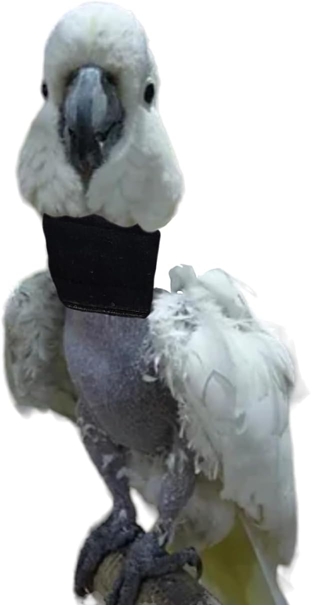 Soft Bird Neck Collar for Umbrella Cockatoos and Yellow-Crested Cockatoos