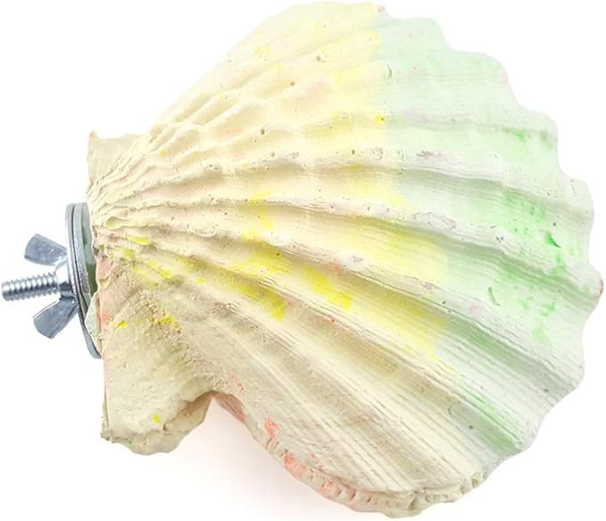 Parrot Perch Stand - 2PCs Shell Shape Squirrel Hamster Teeth Mouth Molar Grinding Stone Parrot Beak Stone Stand Platform