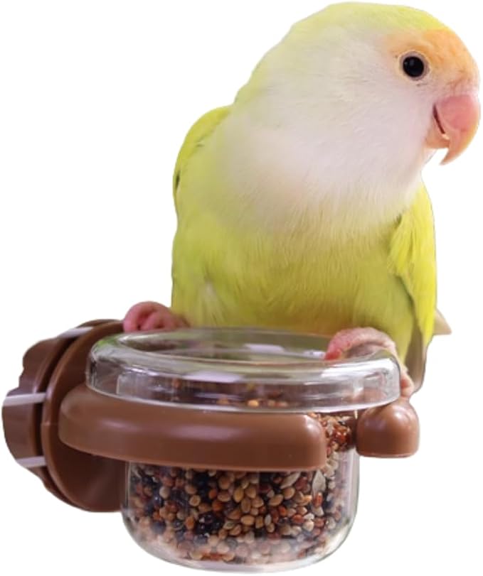 Bird Cage Feeder Portable Bird Plastic Feeding Dish Cup Detachable Bowl with Perch for Parakeet Budgies Cockatiel Lovebird Small Birds (Round,Coffee)