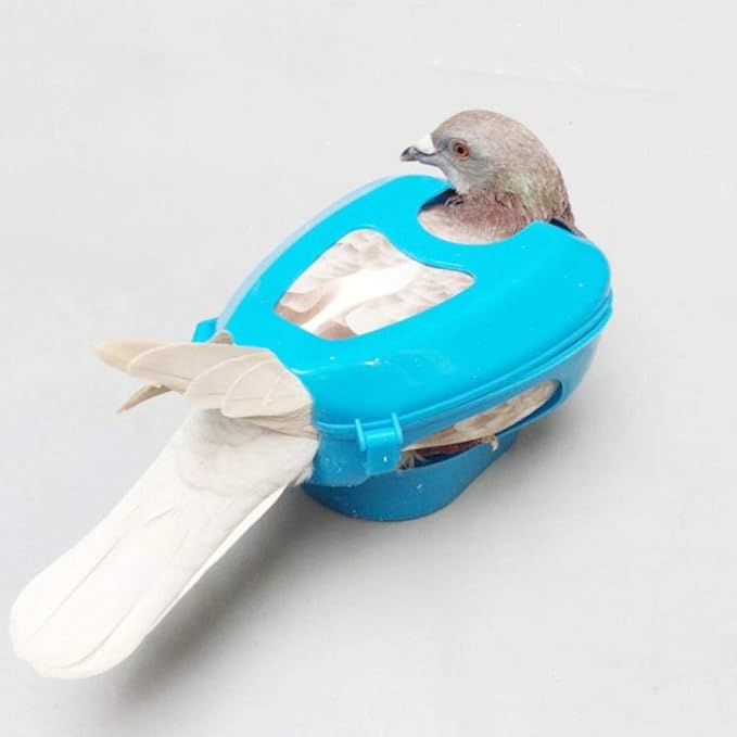 Plastic Pigeon Holder, Bird Injection Feeding Fixed Mount Bird Supply Accessories(Blue)