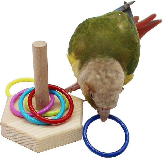 QBLEEV Bird Toys - Budgie & Parrot Training Toys, Color Ring Sets, Chew Ball & Play Gym