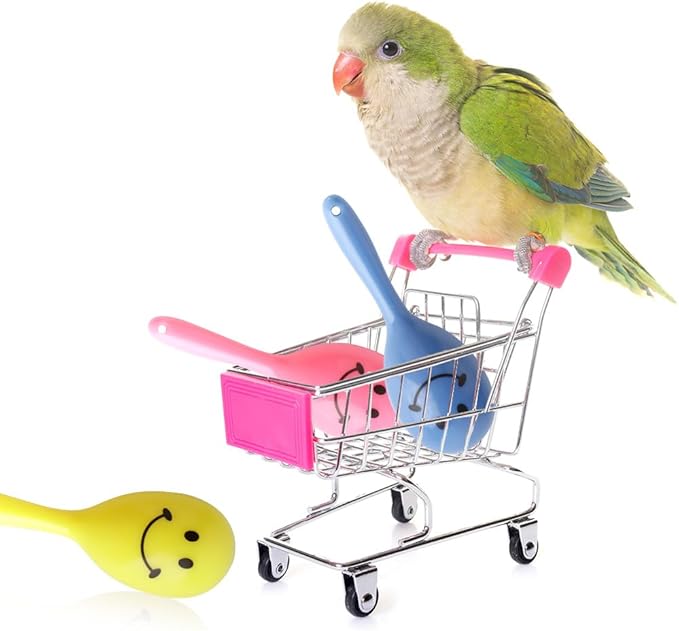 DQITJ 9 Pcs Colourful Mini Ball Sand Hammer Parrot Rattle Shaker Musical Sound Toy Intelligent Sand Hammer Foot Toy for Bird Parrot Cockatiel Conure Lovebird Parakeet Canary (Colors May Vary)