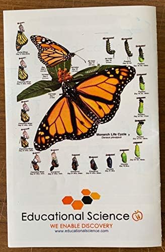 Professional Pop-Up Butterfly Cage/Terrarium, 27 x 27 x 48-inch, Green, LH175G