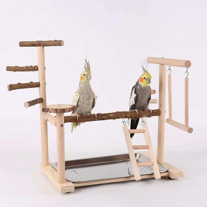 Wooden Parrot Playground Stand, Bird Play Gym for Small Medium Large Parrots, Natural Wood Bird Perch Stand for Parakeet Cockatiel Conure African Grey Macaw, Stable Easy-to-Clean Play Area
