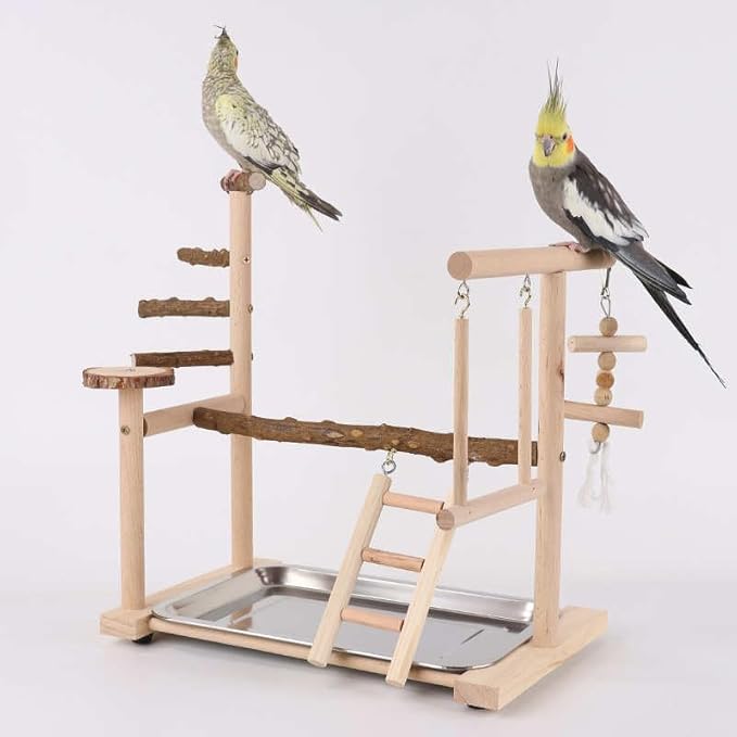 Wooden Parrot Playground Stand, Bird Play Gym for Small Medium Large Parrots, Natural Wood Bird Perch Stand for Parakeet Cockatiel Conure African Grey Macaw, Stable Easy-to-Clean Play Area