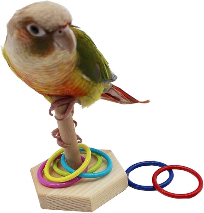 QBLEEV Bird Toys - Budgie & Parrot Training Toys, Color Ring Sets, Chew Ball & Play Gym