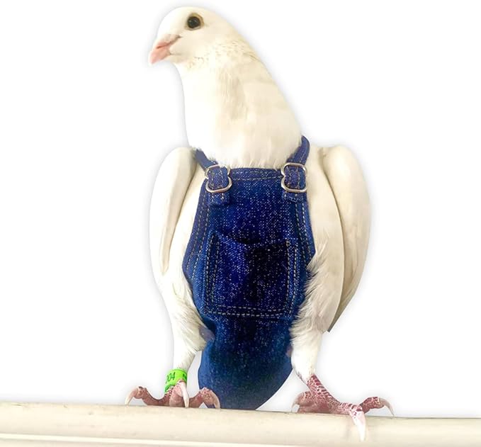 Bev's Bird Boutique Regular Flyper Adjustable Bird Diaper | Reusable, Washable Cloth | Comfort Fit for Parrot, Cockatiels, & Other Small Birds | Fashionable Avian Accessories, Dungaree Jeans, Size 7