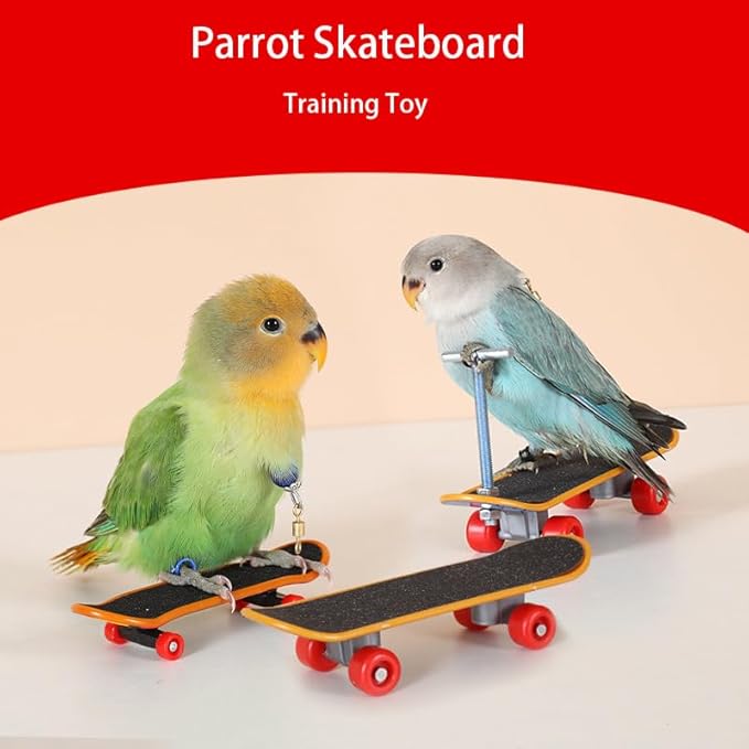 2Pcs Bird Skateboard，Bird Toys for Parrot，for Bird Training Toys (Small)