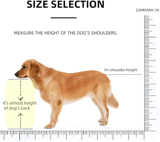 Dog Breeding Stand(Multi-Specification) Adjustable Height and Length,Stainless Steel Dog Breeding Stand,Disabled Dog Stand up (SLIVER,L)