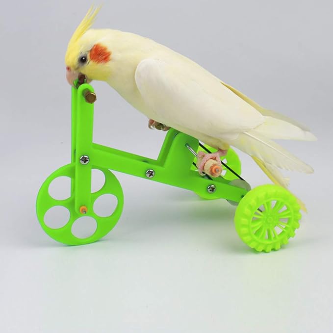 Balacoo Parrot Training Bike: Bird Intelligence Training Toy, Parrot Puzzle Bicycle for Parakeet Macaws African Greys Playtime and Enrichment, 6.69 Inch