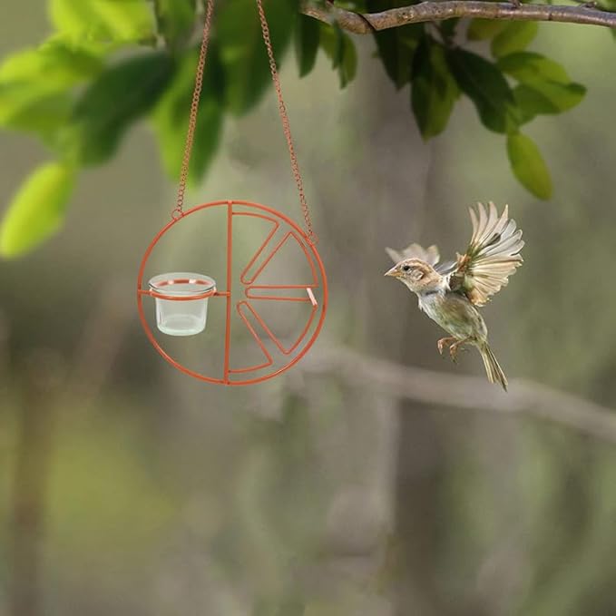BESPORTBLE 2Pcs Glass Hummingbird Feeder Cups Replacement - Outdoor Hanging Bird Feeder Bowls for Garden Patio Balcony - Durable Glass Bird Accessories