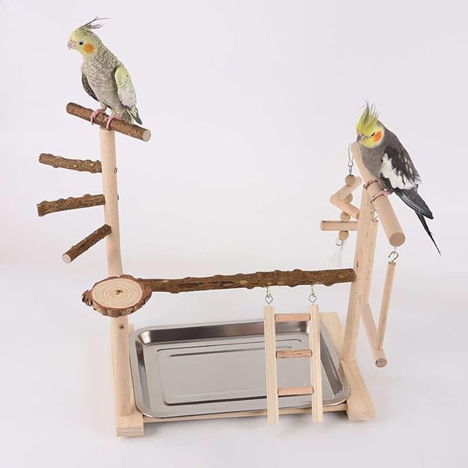 Wooden Parrot Playground Stand, Bird Play Gym for Small Medium Large Parrots, Natural Wood Bird Perch Stand for Parakeet Cockatiel Conure African Grey Macaw, Stable Easy-to-Clean Play Area