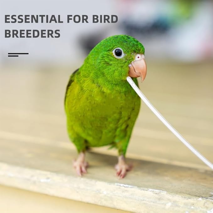 balacoo 100pcs Parrot Feeding Tube Soft Hose Replacement Heads for Birds Feeder Parrot Hand Feeder Bird for Cage
