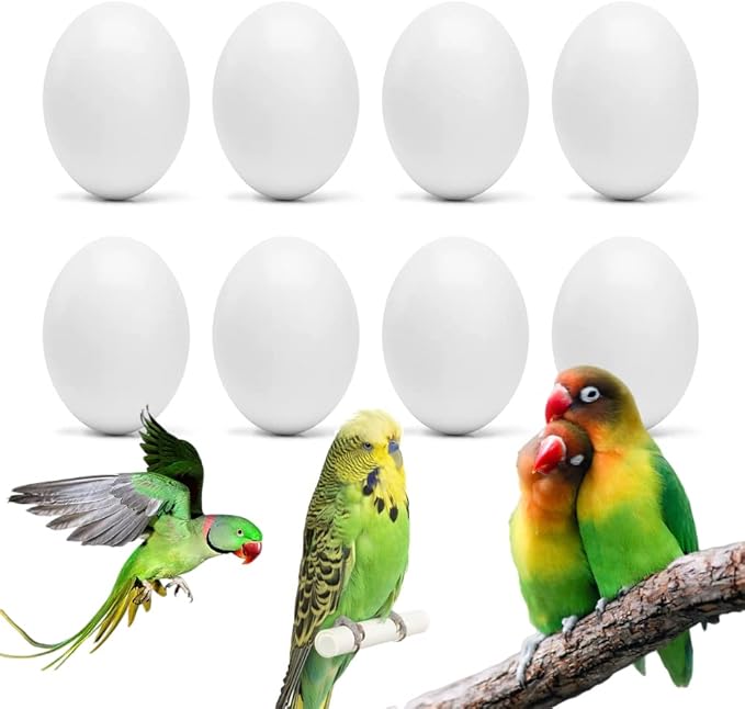 8Pcs Fake Bird Eggs, Stop Egg Laying fit Bourkes Parrot, Lovebird, Lineolated Parakeet, English Show Budgie Artificial Eggs 18mm*25mm