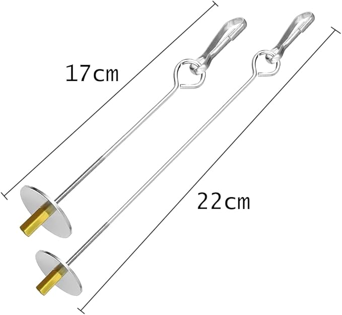 2 Pcs Stainless Steel Bird Skewer Feeder - 6.63"/8.58" Dual-Size Parrot Fruit & Veggie Holder with Chain Durable Foraging Toy for Budgies Parakeets Cockatiels (Chicken & Pet Bird Safe)