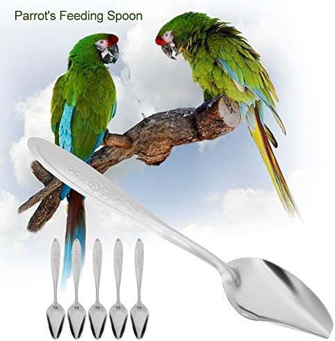 Bird Parrot Feeding Spoon Stainless Steel Metal Hand Feeding Spoons Feeder Animals Care Tool for Pet Peony Cockatiel Parrot