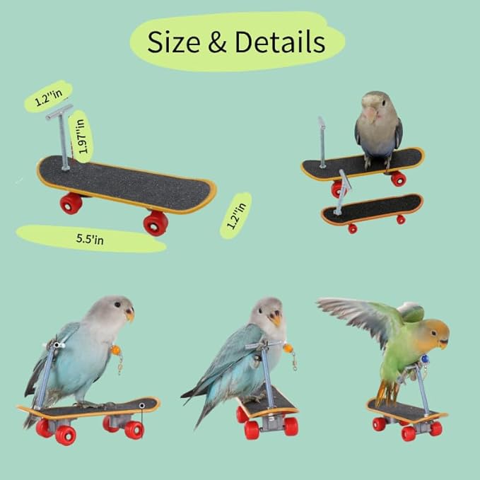 Bird Training Toys Set, 2 Piece Skateboard and Balance Bike for Parrots, Balance Training Accessories