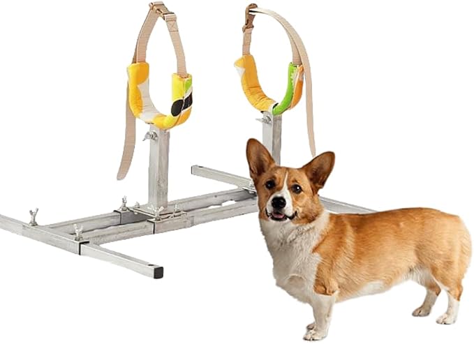 Dog Breeding Stand(Multi-Specification) Adjustable Height and Length,Stainless Steel Dog Breeding Stand,Disabled Dog Stand up (SLIVER,S)