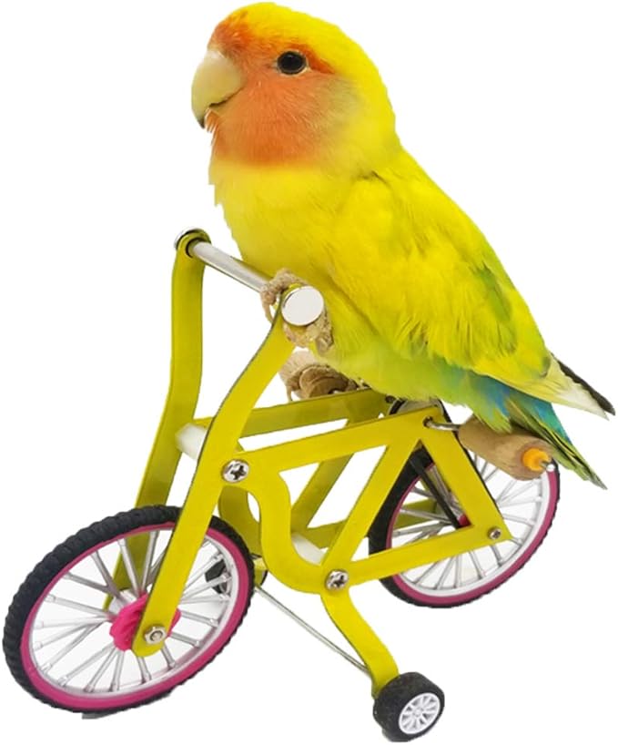 QBLEEV Bird Intelligence Training Toy for Small Medium Birds - Parrot Puzzle Bicycle & Table Top Trick Prop - Foot Talon Toy for African Grey, Cockatoo & Conures