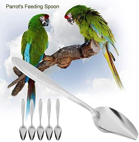 GOTOTOP Bird Parrot Feeder Spoon, Stainless Steel, 5.9 Inch, 5 Pieces, for Baby Birds