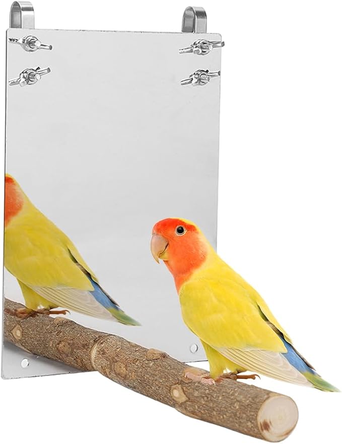 Bird Mirror, Large Stainless Steel Bird Mirror Perch Cockatiel Swing Toys Parrot Cage Accessories Decoration Standing Bar Claw for Small Medium All Types of Parakeet Cockatoo Cockatiel Finch Canaries