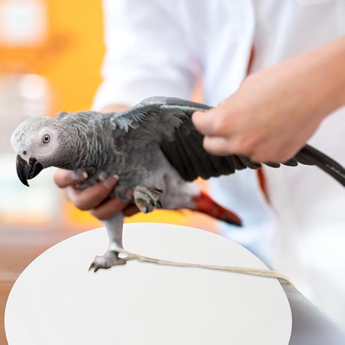 Abaodam 100pcs Round Bird Cage Liners, Disposable Bird Cage Paper Liners Absorbent Cushions, Non-Woven Lining Pads Mats for Parrots, Parakeet, Small Animals, Pet for Easy Cleaning