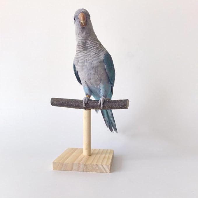 Bird Perch Stand, Bird Training Portable Tabletop Platform, Parrot Cage Toy Gym Accessories for Parakeets Cockatiels, Conures, Macaws, Finches Lovebirds