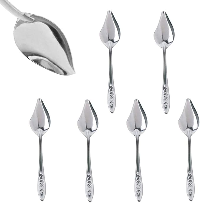6 Stainless Steel Pet Feeding Spoons, Parrot Feeding Tool, Chick Bird Feeder.