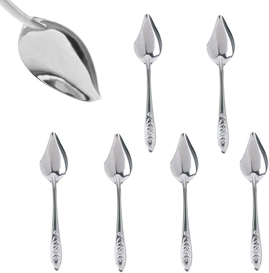 6 Stainless Steel Pet Feeding Spoons, Parrot Feeding Tool, Chick Bird Feeder.