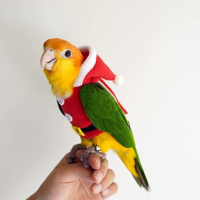 Bird Clothes Birds Flight Suit, Christmas Hoodie for Parrots Cockatiel Sun Conure Christmas Party Cosplay Photo Prop Bird Shirt Small Animals Apparel (Without Diaper,Macaw)