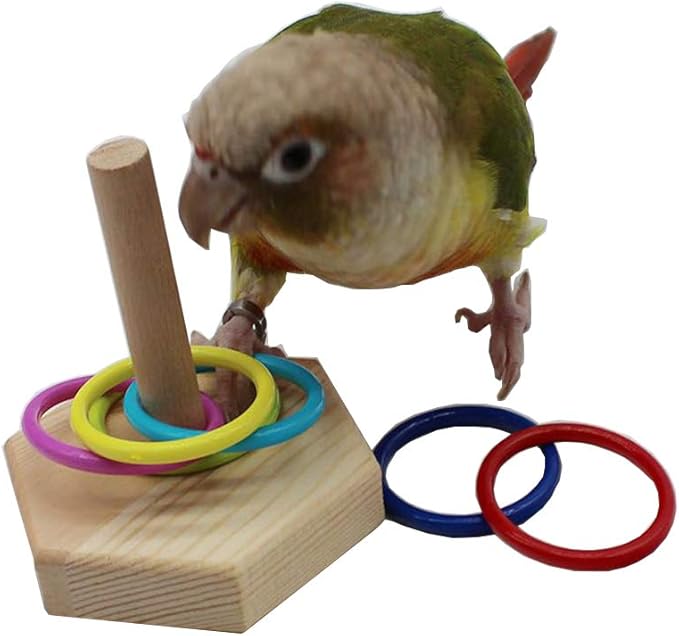 QBLEEV Bird Toys - Budgie & Parrot Training Toys, Color Ring Sets, Chew Ball & Play Gym