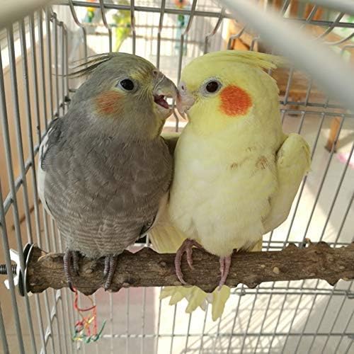 Hypeety Natural Wood Perch Stand Toy for Budgie, Parakeet, Cockatiel, Conure, Lovebird (7.86 inch)