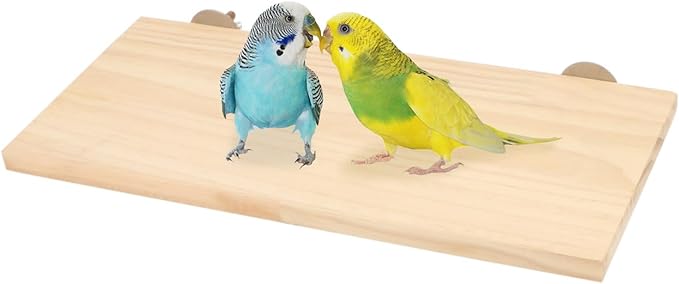 Wontee Bird Perch Stand Wooden Platform for Cockatiels Conures Rats Gerbils Chinchillas Squirrels (S)